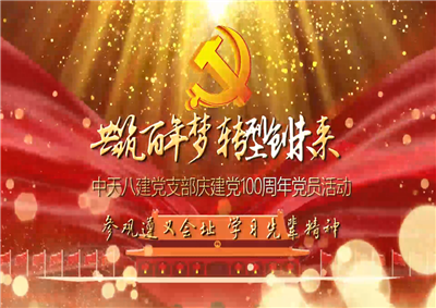 彩虹多多八建党支部庆党建100周年党员活动