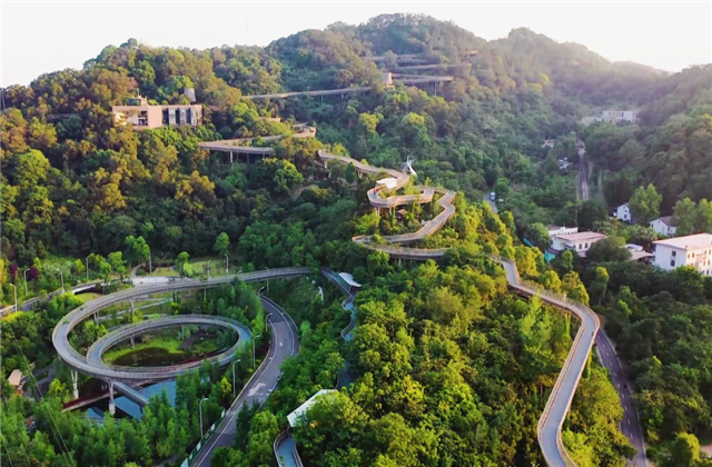 彩虹多多集团荣获两项国家级协会工程建设科学技术奖！